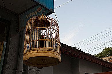 科乐美新作《CRIMESIGHT》正式公布 4月15日发售